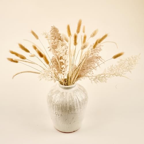 Meine Orangerie Pampasgrasset 34 Stiele Pampasgras Getrocknet Stilvolle