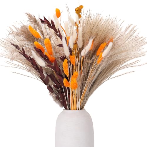 Xialvyu 64 St Ck Pampasgras Deko Trocken 43