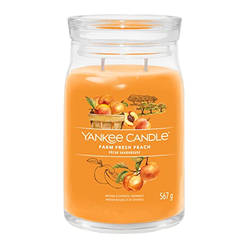 Yankee Candle Signature Duftkerze Gro E Kerze Mit