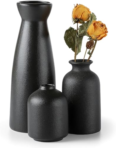Sawoake Schwarz Keramik Vasen 3er Set Kleine Blumenvasen