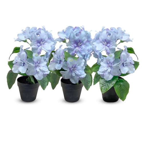 Murago 3er Set K Nstliche Azalee Im Topf