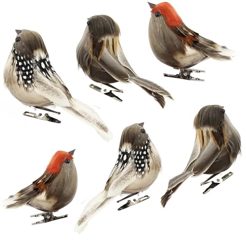 Tina Win 6 St Ck K Nstliche Vogel