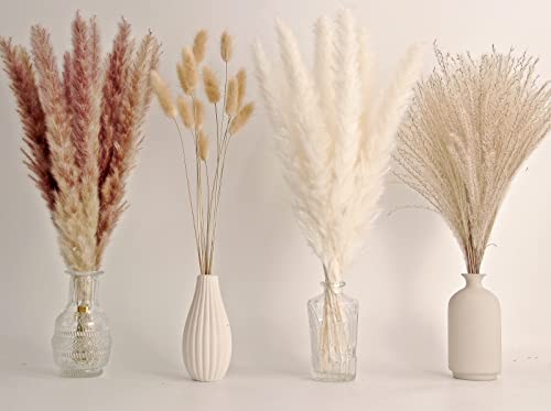 65 Stk Pampasgras Dekoration Inkl Pampas Floral Getrocknetem