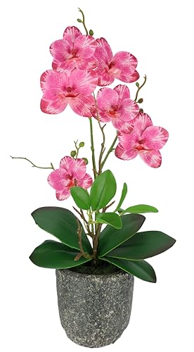 Kunstblume Schmetterling Orchidee Mit Bl Tter Und Luftwurzeln