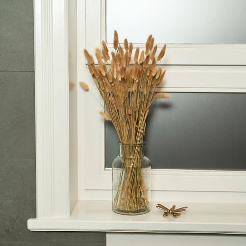 Pampasgras Getrocknet Hasenschwanzgras Lagurus Getrocknet Trockenblumen 60 St