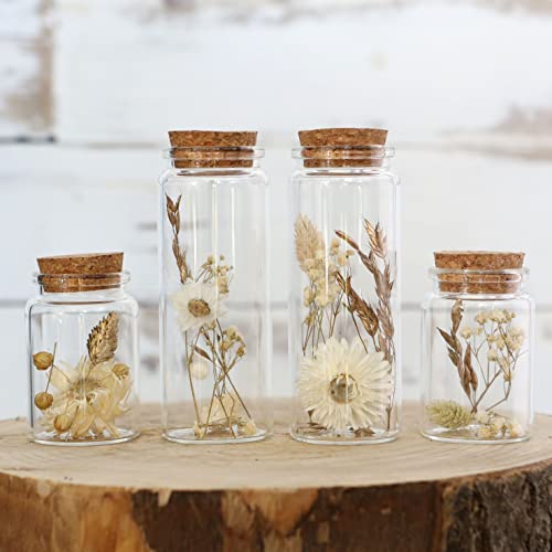 Comforder Trockenblumen Im Glas Mit Korken 4er Set