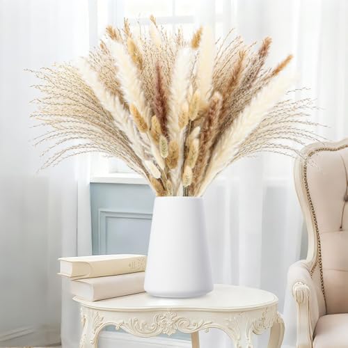 Lafo Set Mit 120 St Ck Pampasgras Und