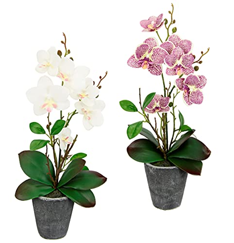 Flair Flower Kunstblumen Orchidee 40cm Mit Bl Tter