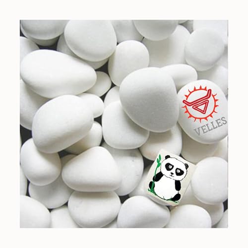 Velles Kleine Steine Zum Bemalen Kieselsteine Aquarium Kies