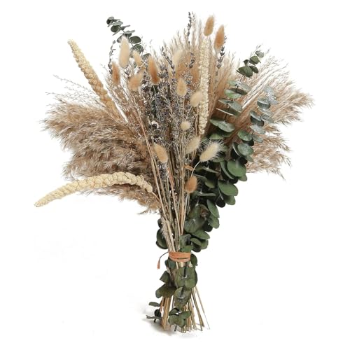 100 Stk Pampasgras Deko Boho Pampas Gras Trockenblumen