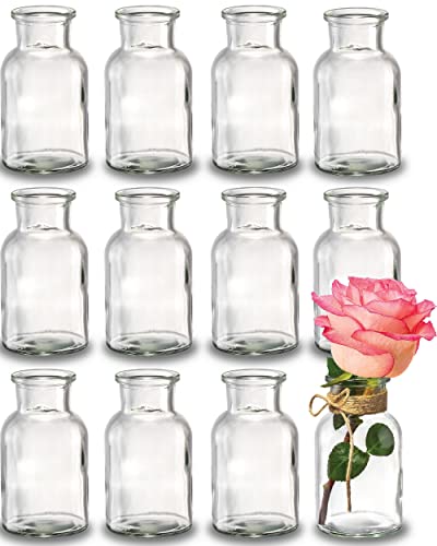 Praknu 12 Mini Glasvasen 10 Cm Hoch Inklusive