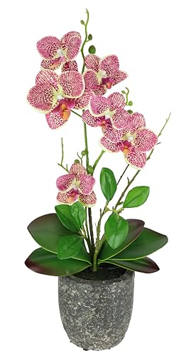 Kunstblume Schmetterling Orchidee Mit Bl Tter Und Luftwurzeln