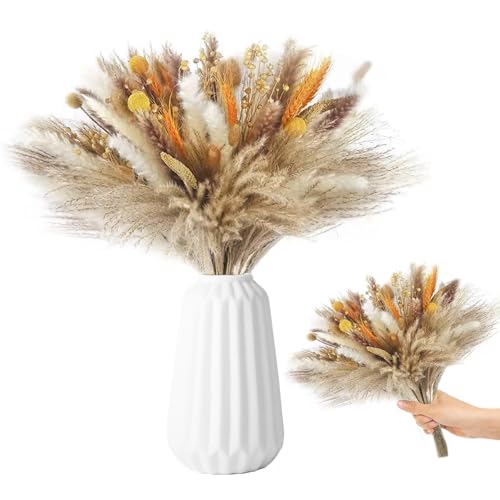 Quorlis Trockenblumenstrau Aus Pampasgras 100 Tlg Set Natur