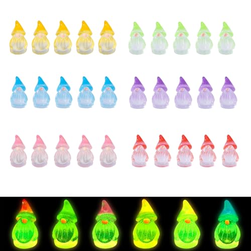 Goiern 30 Stueck Leuchtende Mini Harz Gartenzwerge Winzige