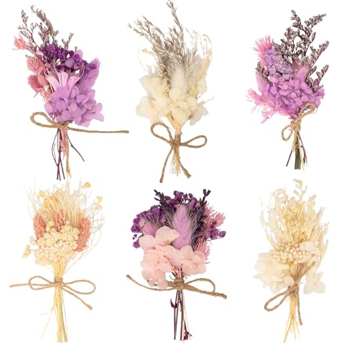 Laumoe 6 B Ndel Trockenblumenstrau Trockenblume Getrocknete Blumenstrauss