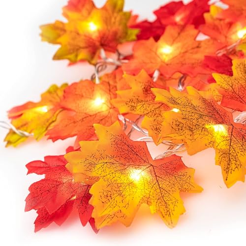 Ventvinal Herbstdekoration Ahornblatt Lichterkette 2m 20 Led Lichter