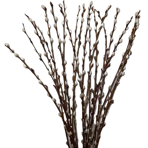 Frischer Nat Rlicher Weidenk Tzchen Bund 70cm Hochzeitsdeko