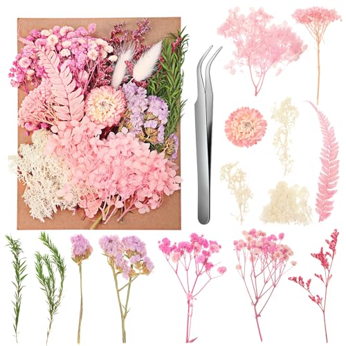 Rosa Getrocknete Blumen Trockenblumen Deko Trockenblumen Zum Basteln