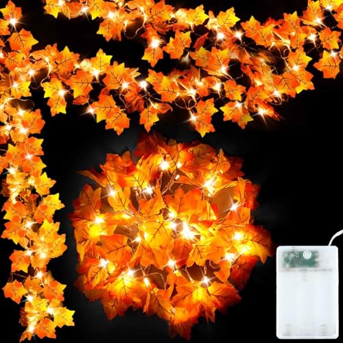 Yuywwan Herbst Ahornblatt Lichterkette 3 Meter 20 Led