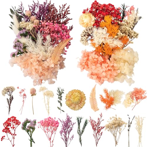 Laumoe 2 S Tze Trockenblumen Trockenblumen Zum Basteln