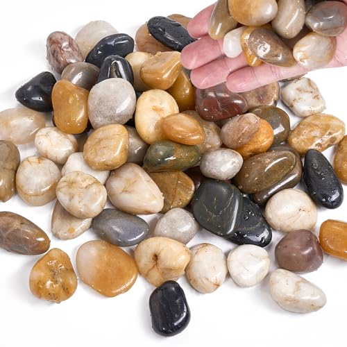 1 8 Kg Kieselsteine 1 2cm Dekosteine Steine