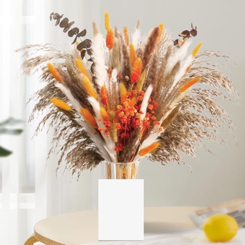 Yiomxhi 61 St Ck Pampasgras Getrocknet Blumen Nat