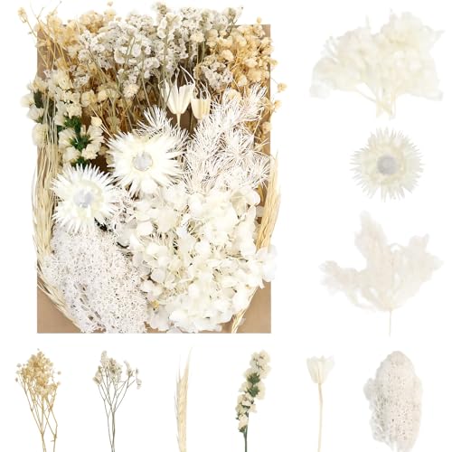 Sularpek Trockenblumen Getrocknete Blumen Trockenblumen Deko Trockenblumens Zum