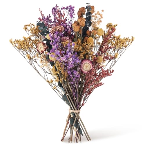 Laumoe 30 St Ck Trockenblumenstrau Gro Set 42cm