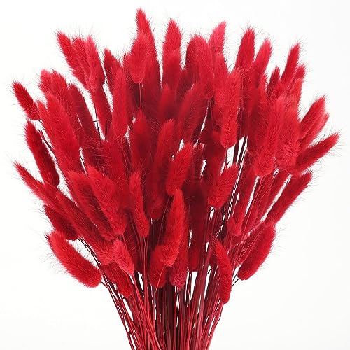 Scllnda 120 St Ck Pampasgras Rot Trockenblumen Getrocknete