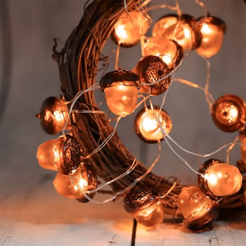 Sunshine Smile Eicheln Lichterkette Herbst 2m 20 Led