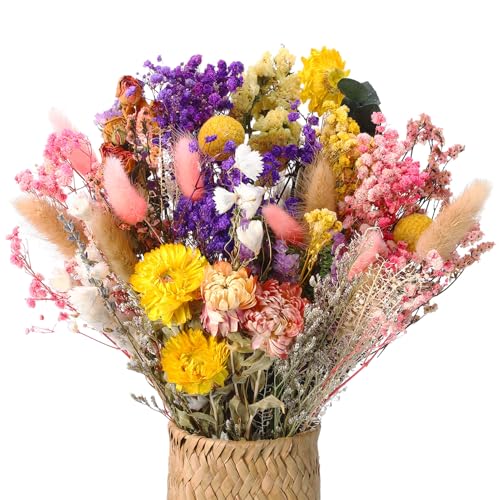 Xialvyu 46 St Ck Trockenblumenstrau Deko Set 15