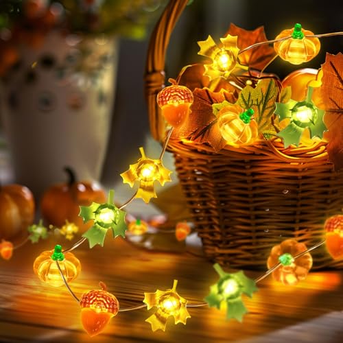 Coquimbo Herbst Dekoration Led Lichterkette 3m 30led K
