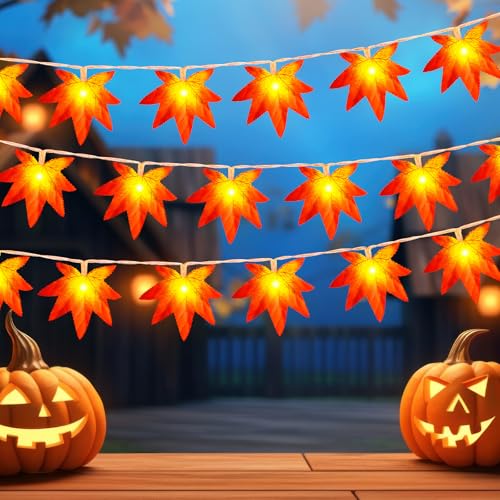 Dalugo Herbst Deko Lichterkette 3m 20 Led Halloween