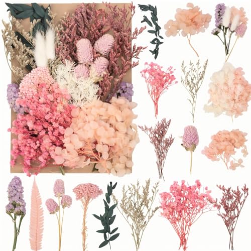 Laumoe Getrocknete Blumen Trockenblumen Trockenblumen Zum Basteln Mini