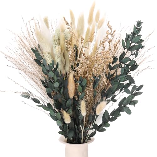 Xialvyu 65 St Ck Pampasgras Deko Trockenblumen F
