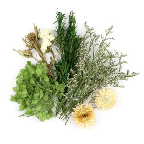 Trockenblumen Zum Basteln Nat Rliche Getrocknete Blumen Trockenblumen