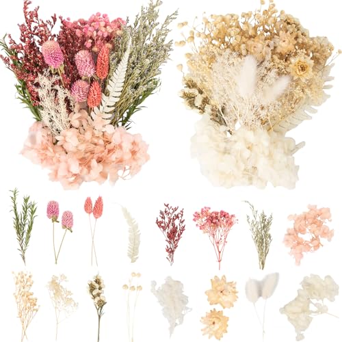 Laumoe 2 S Tze Trockenblumen Trockenblumen Zum Basteln