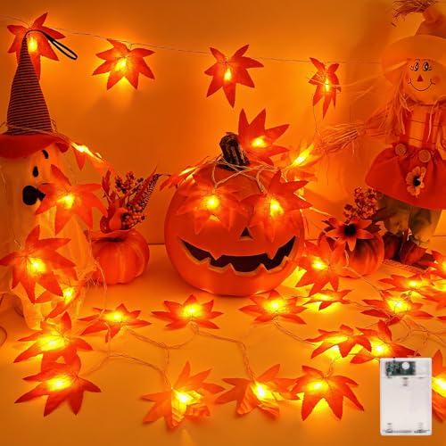 Etopgo Herbst Dekoration Lichterkette Batterie 3m 20 Led