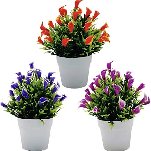 Fycooler K Nstliche Callalilie Blumen Eingetopft 3pcs Calla