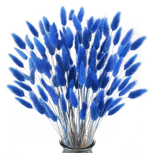 Minnhua 120 Pcs Trockenblumen Klein Pampasgras Nat Rliche