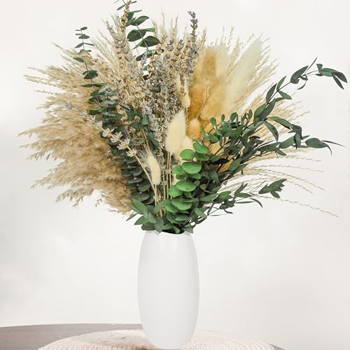 Aufisi Trockenblumen Pampasgras Deko 100 St Ck Nat