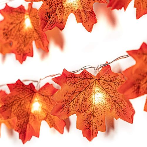 Enlace Lichterkette Herbst 1 5m 10 Led Ahornb