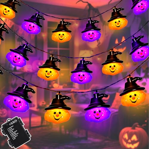 Dalugo Halloween Lichterkette Lila Orange 3m 20led K