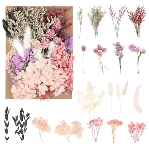 Jatimdotin Trockenblumen Nat Rliche Getrocknte Blumen Getrocknete Blumen