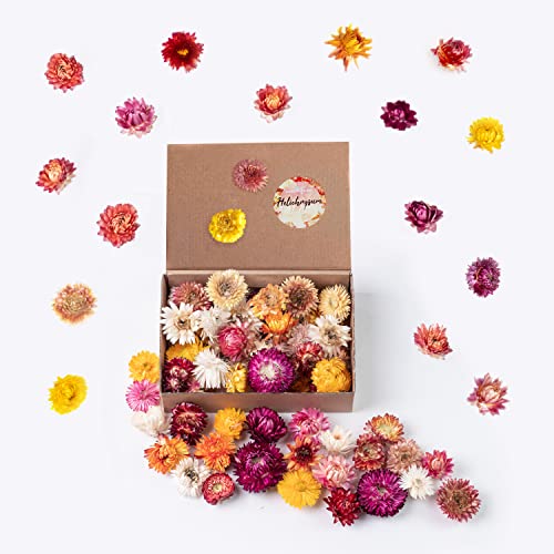 Getrocknete Blumen Als Fr Hlingsdeko Und Zum Kranz