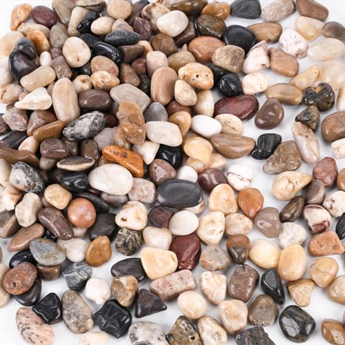 Hakacc 900g Flusskiesel Edelsteine Kieselsteine Polierte Zum Basteln