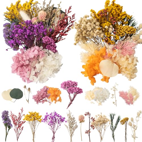 Laumoe 2 S Tze Trockenblumen Trockenblumen Zum Basteln