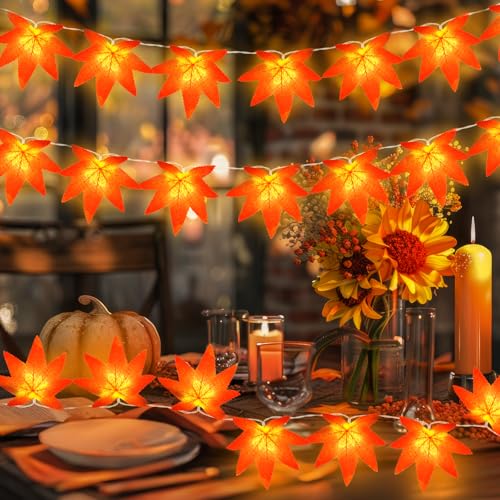 Etopgo Herbst Dekoration Lichterkette 20 Led Herbstdeko Lichterkette