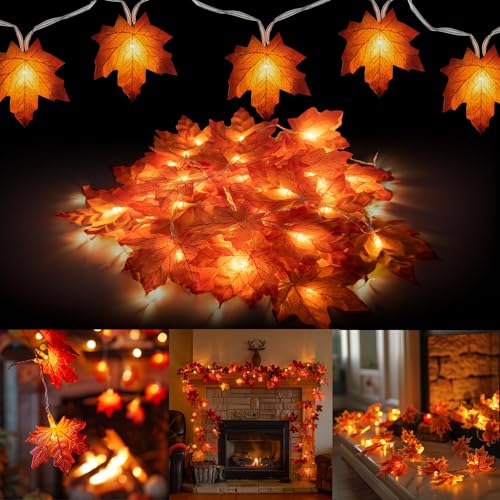 Yuywwan Herbst Ahornblatt Lichterkette 3 Meter 20 Led