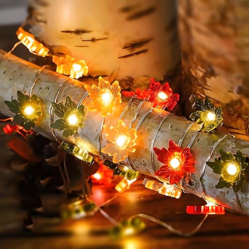 Herbst Lichterkette 2m 20 Led Ahornbl Tter Lichterketten